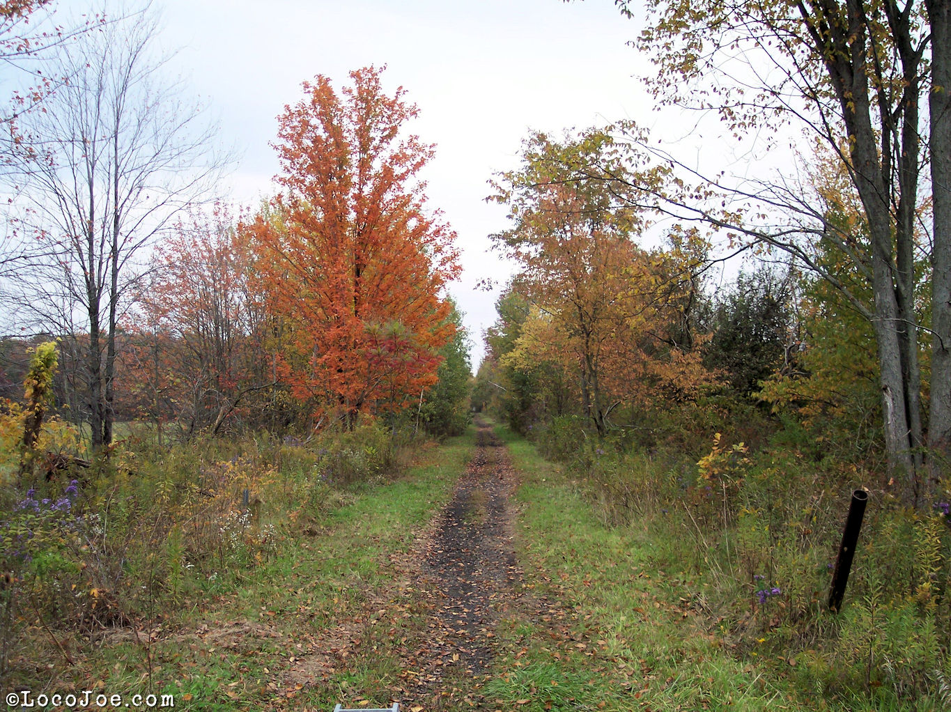 Western Reserve Greenway – Ohio 2006