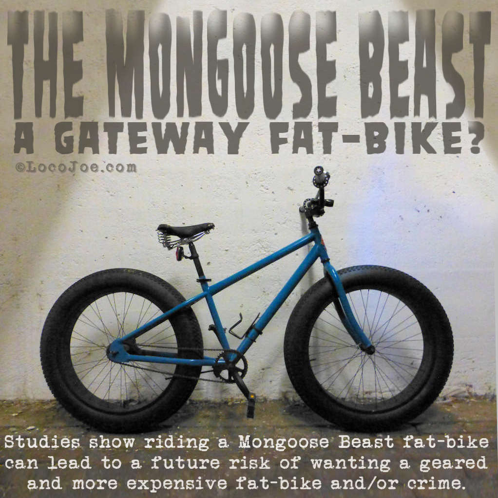beast_gateway_fatbike